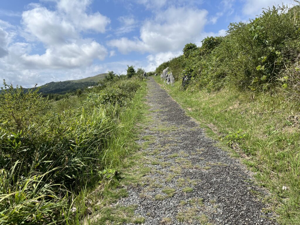 秋吉台の凸凹した遊歩道を歩く