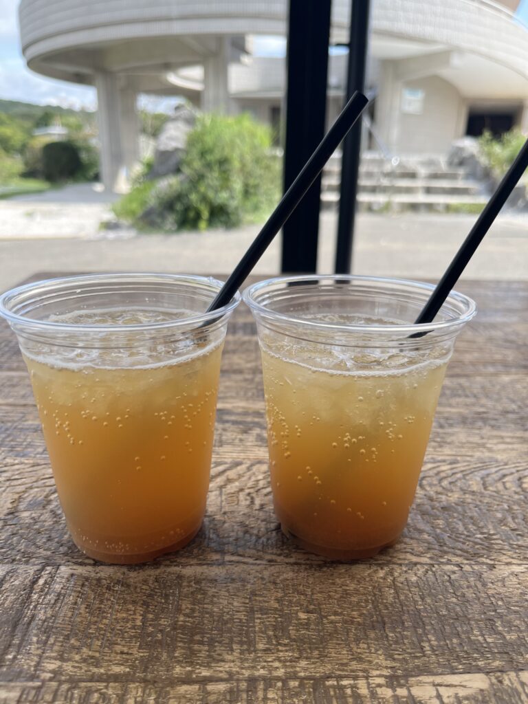 秋吉台ジオパークセンターで飲んだ梨ティーサイダー