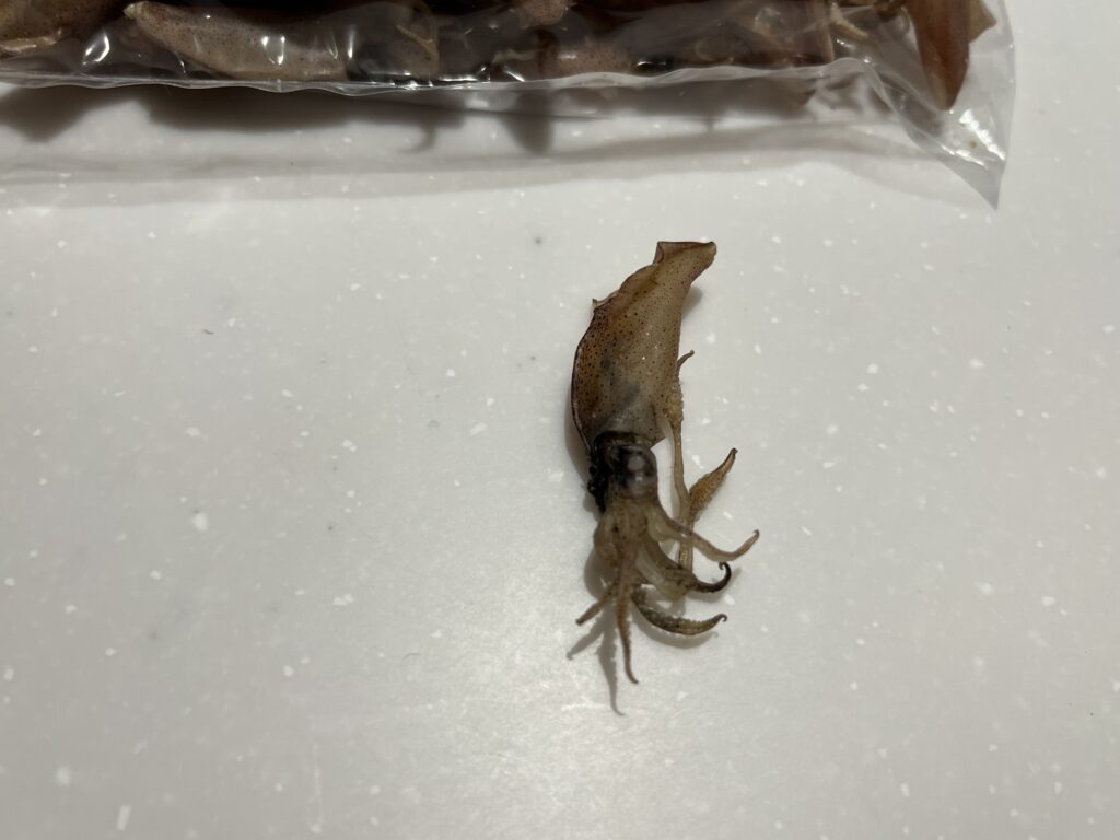 角島総本家で購入したいか丸干し
