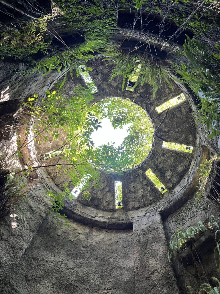 牧野植物園 温室 幻想的 高知