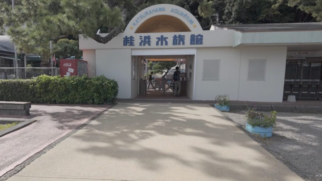 桂浜水族館 入り口 高知