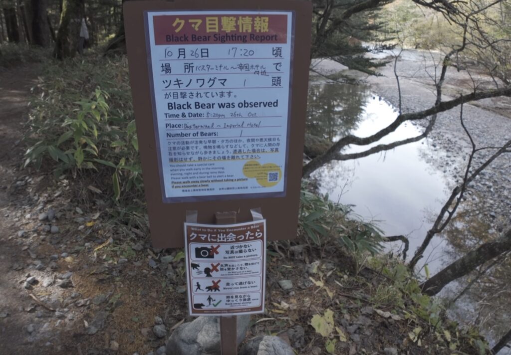 上高地　散策　看板　クマ目撃情報