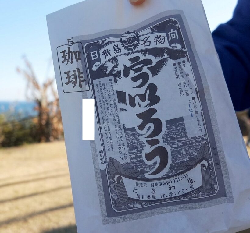 道の駅フェニックス 外郎 ういろう 宮崎 お土産