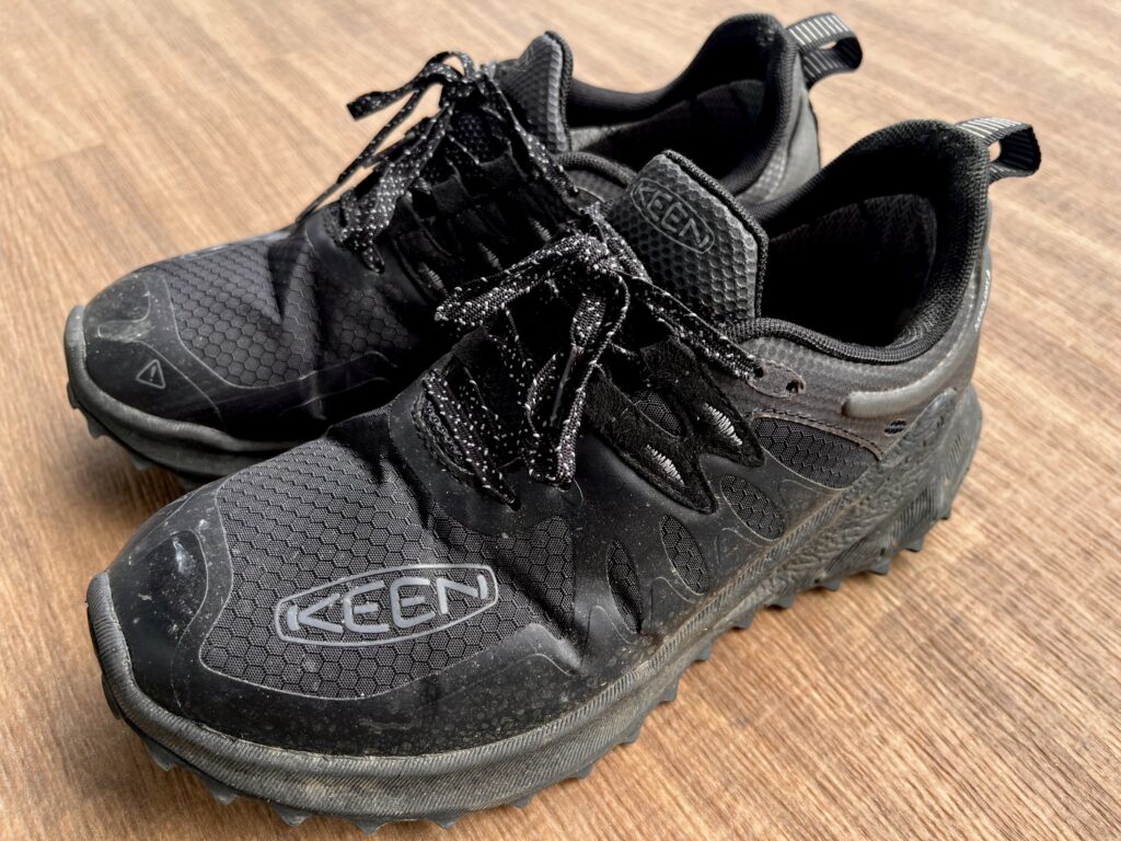 KEEN ザイオニック 汚れ 洗浄 お手入れ 比較