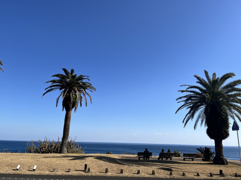 サンメッセ日南 海沿い 日南海岸 絶景 宮崎