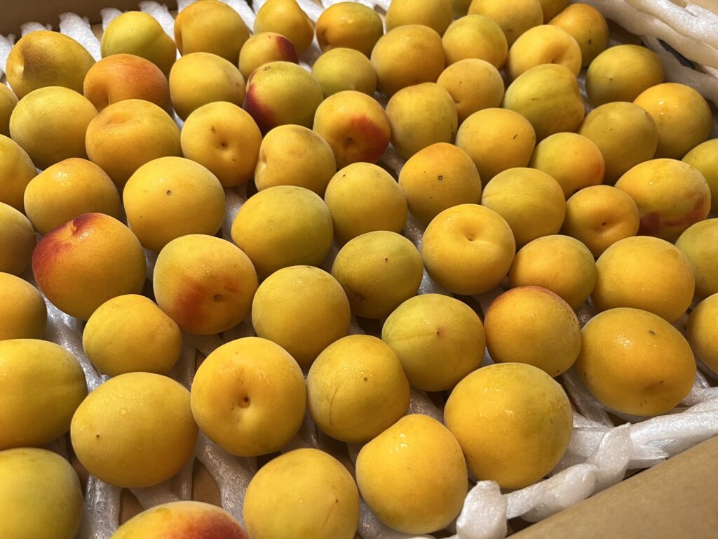 梅干し 完熟南高梅 梅ボーイズ 到着 箱詰め