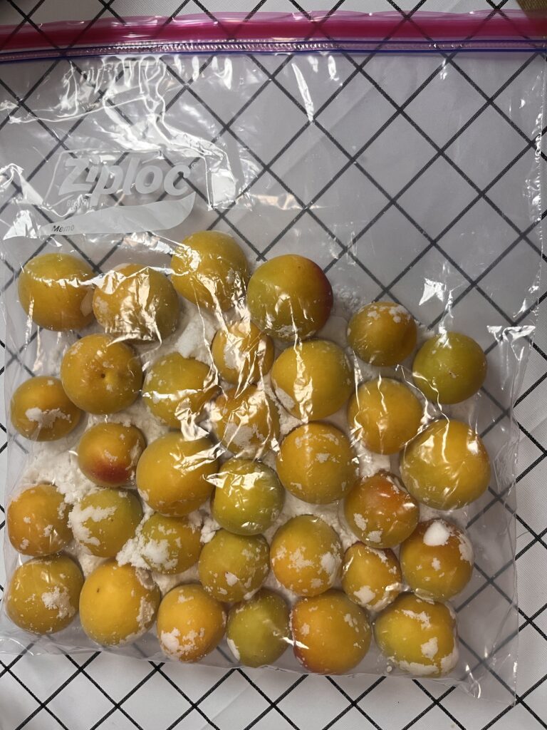 梅干し 手作り 梅1kg 天然塩 塩分18%