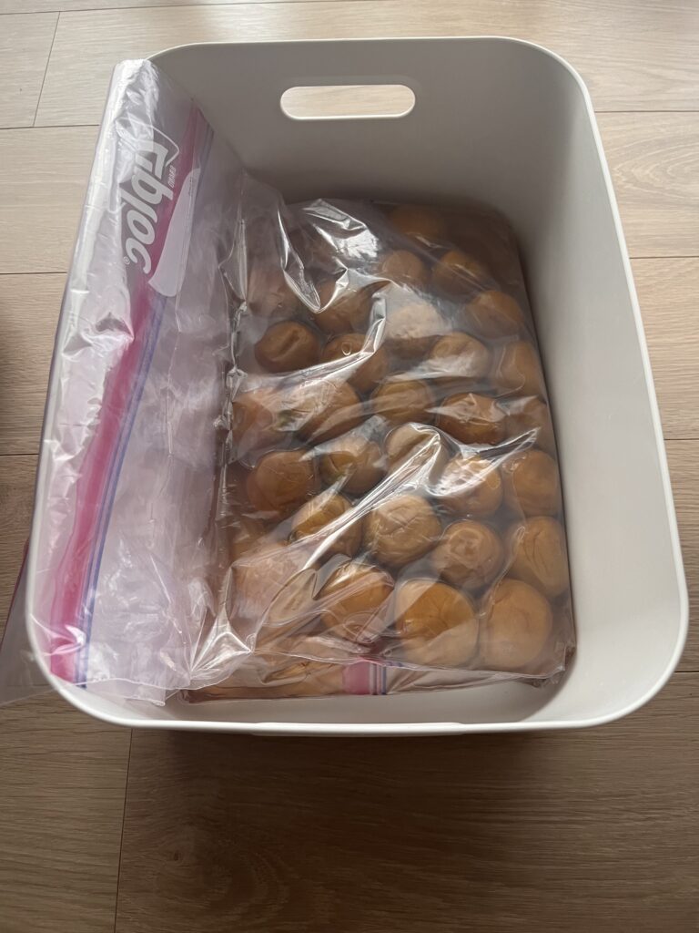 梅干し 塩漬け 1ヶ月保存 ジップロック 無印良品 ポリエチレンケース